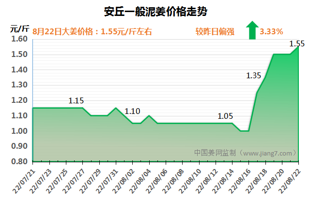 安丘下午
