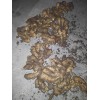 出售5   6月份圓頭姜