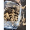 生姜購銷13176070878