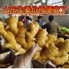 【山東生姜】老姜產(chǎn)地批發(fā) 鮮姜批發(fā)  壞爛包賠 代發(fā)代存