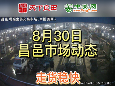 8月30日 昌邑生姜交易實況（繼續暴漲） (2597播放)