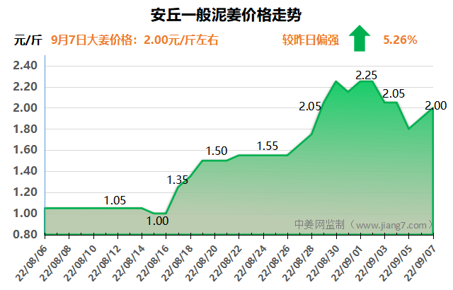 安丘下午
