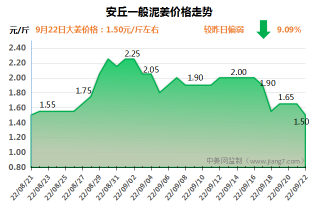 安丘下午