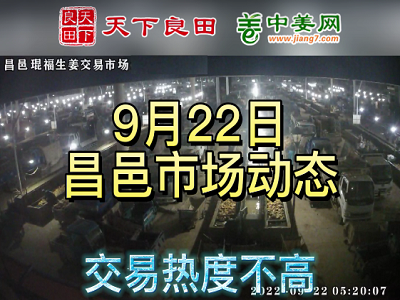 9月22日 昌邑生姜交易實況（價格掉1毛） (3087播放)