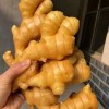 山東生姜產(chǎn)地大降價(jià)了
