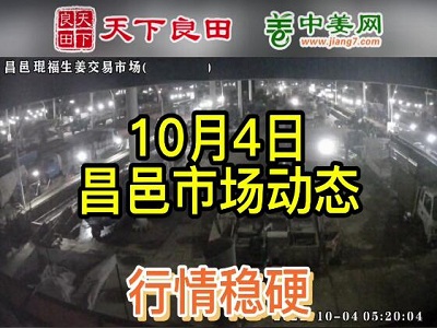 10月4日 昌邑生姜交易實況（價格偏強） (3123播放)