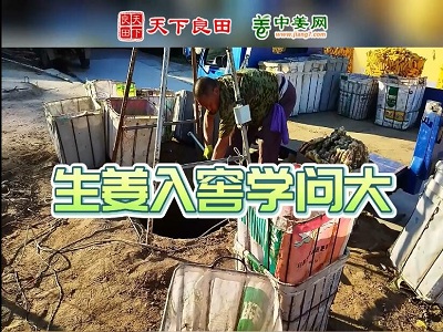 生善入客學問大 ()