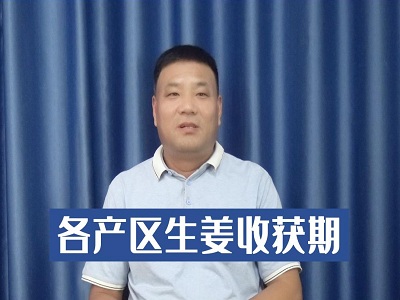 各產區生姜收獲期 ()