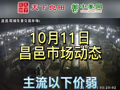 10月11日 昌邑生姜交易實況（優穩次緩） (2822播放)