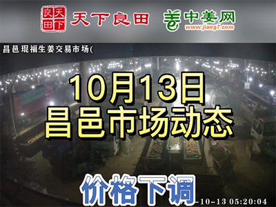 10月13日 昌邑生姜交易實況（價格偏弱） (2844播放)