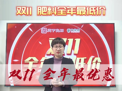 中姜網雙11特惠--南方小姜套餐 ()