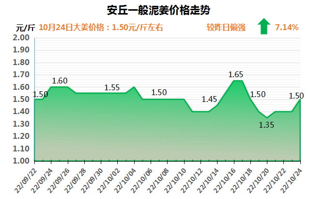 安丘下午