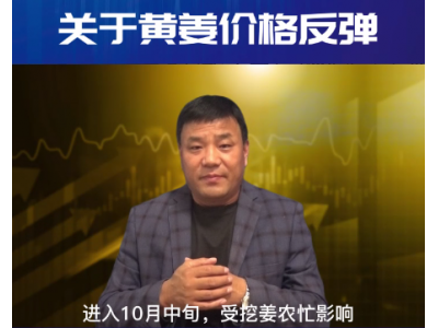 黃姜反彈是曇花一現(xiàn)還是調(diào)整待漲 (3255播放)