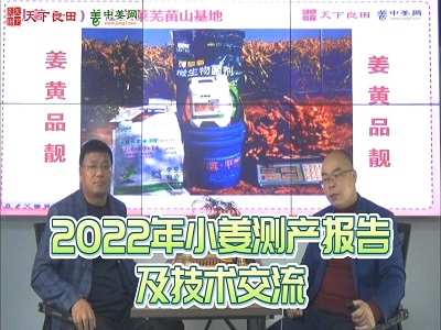 2022年小姜測產報告及技術交流 (339播放)