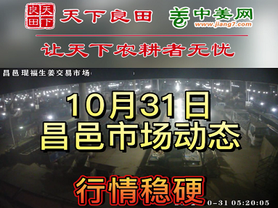 10月31日 昌邑生姜交易實(shí)況（價(jià)格上漲） (3010播放)