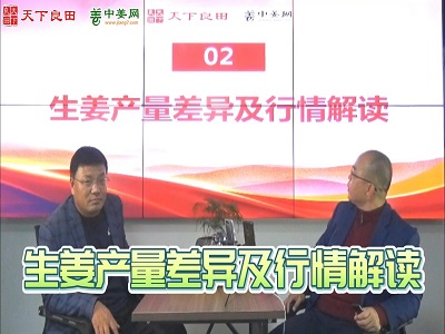 2022年生姜產量差異及行情解讀 (481播放)