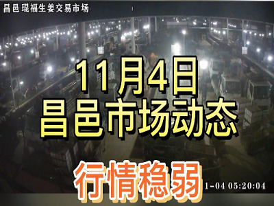 11月4日 昌邑生姜交易實(shí)況（價(jià)格穩(wěn)弱） (2945播放)