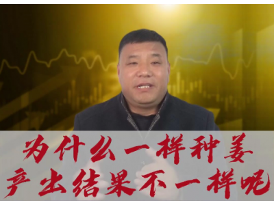 為什么一樣種姜產出結果不一樣呢？ ()