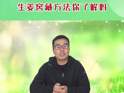 生姜窖藏方法你了解嗎 (436播放)