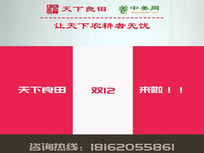 天下良田·中姜網“雙12”全年最后讓利 ()