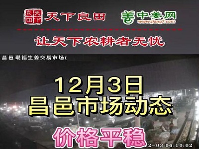 12月3日 昌邑生姜交易實況（價格平穩） (3332播放)