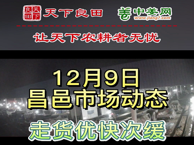 12月9日 昌邑生姜交易實況（優快次緩） (3090播放)