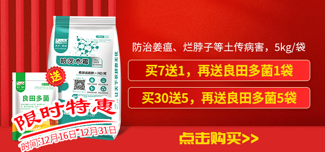 3-哈茨木霉(1)