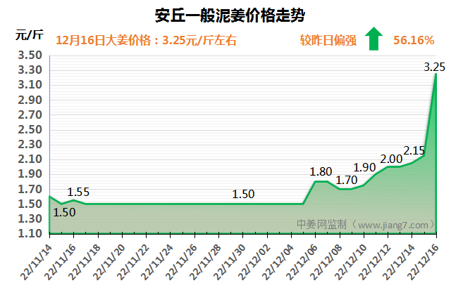 安全下午