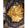 生姜價格上漲飆升