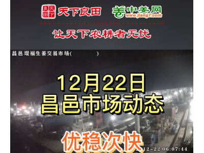 12月22日 昌邑生姜交易實況（優穩次快） (3200播放)