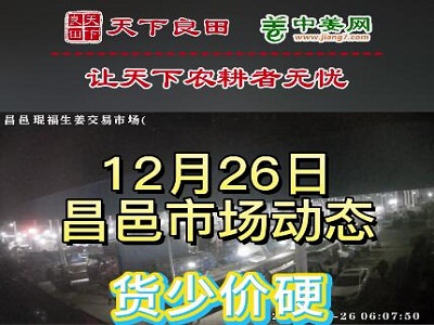 12月26日 昌邑生姜交易實況（貨少價硬） (3196播放)