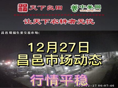 12月27日 昌邑生姜交易實況（價格持平） (3181播放)