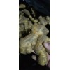 庫姜圓頭姜13176070878