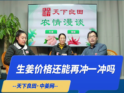 年前生姜價格還能再沖一沖嗎？ (3335播放)