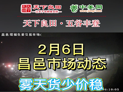 2月6日 昌邑生姜交易實況（大霧上貨少） (3469播放)