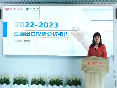 2022-2023生姜出口形勢分析報告 (564播放)