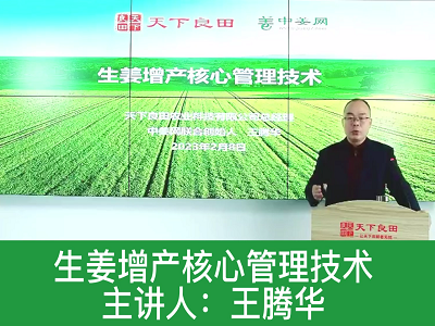 生姜增產核心管理技術 ()