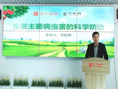 生姜主要病蟲害的科學防治 ()