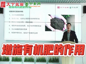增施有機肥的作用