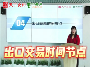 中國生姜出口交易節點