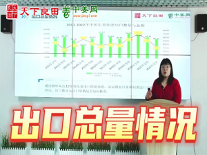 2022年中國生姜出口總量分析
