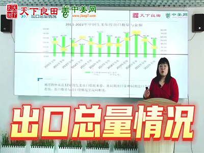2022年中國生姜出口總量分析 (3743播放)