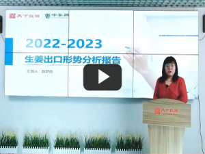 2022-2023生姜出口形勢分析報告