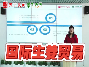 國際生姜貿易情況分析