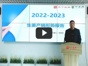 2022-2023生姜產銷報告