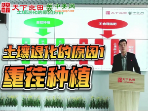 土壤退化的原因