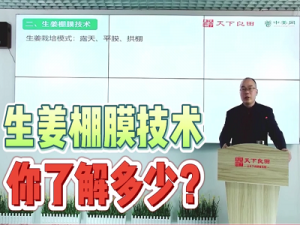 生姜棚膜技術