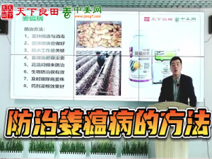 防治姜瘟病的方法