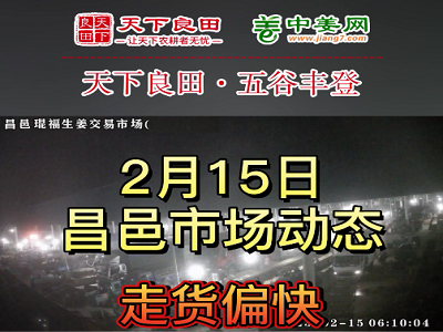 2月15日 昌邑生姜交易實(shí)況（下貨快價(jià)格漲） (3754播放)