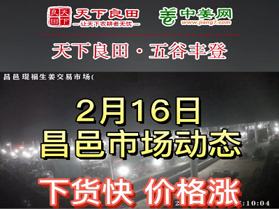 2月16日 昌邑生姜交易實(shí)況（繼續(xù)漲） (3698播放)